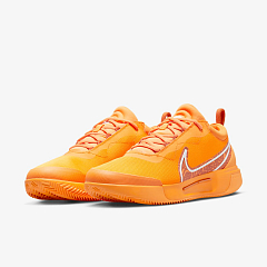 Кросівки NIKE M ZOOM COURT PRO CLY